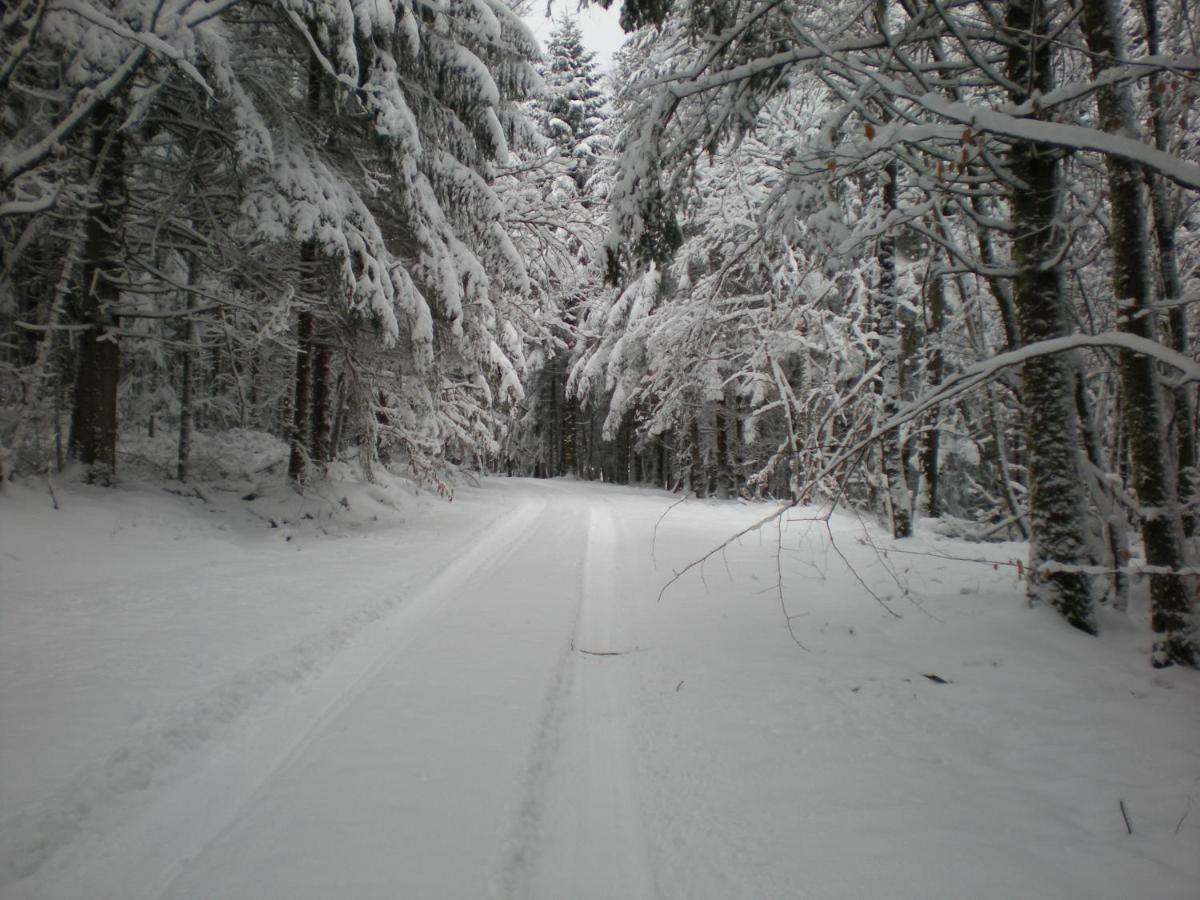Gite De La Mortagne Buitenkant foto