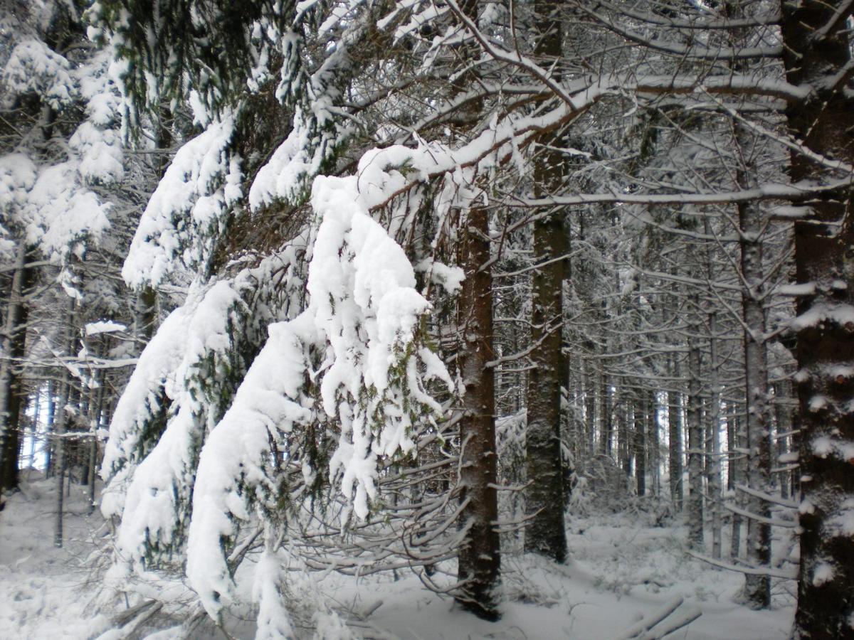 Gite De La Mortagne Buitenkant foto