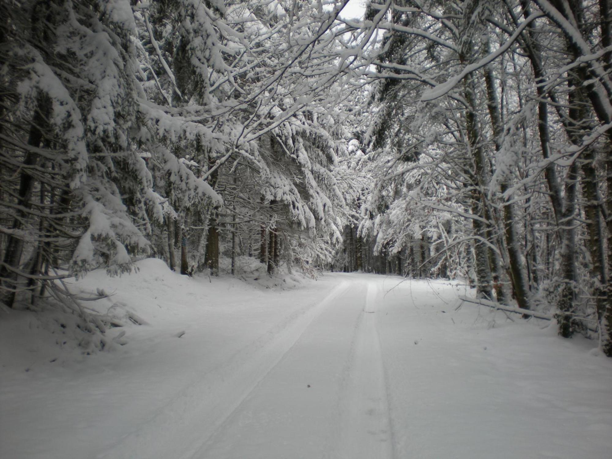 Gite De La Mortagne Buitenkant foto